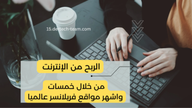 الربح من الانترنت